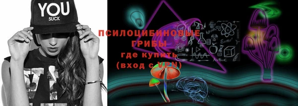 гидропоника Бородино