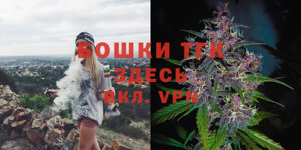 гидропоника Бородино
