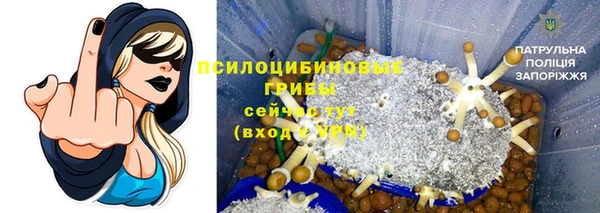 амф Бронницы